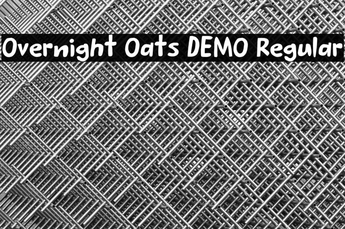 Overnight Oats DEMO Regular Example 2