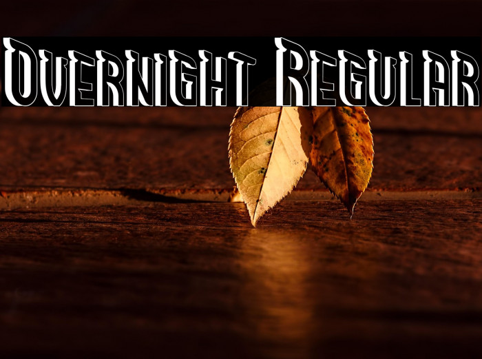 Overnight Regular Example 2