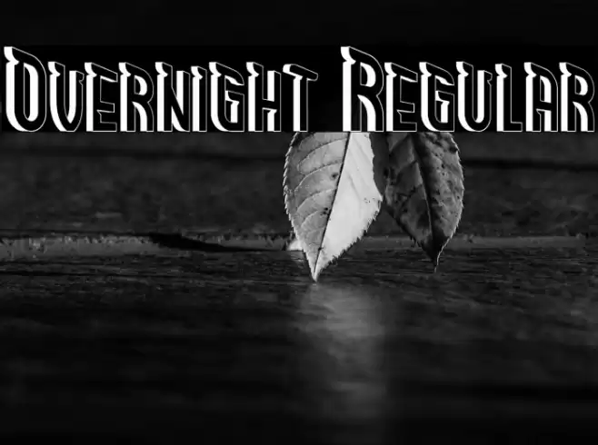 Overnight Regular Font examples