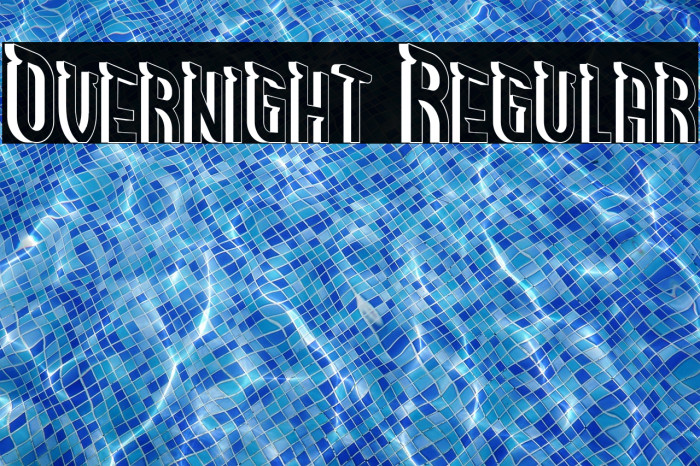 Overnight Regular Example 3