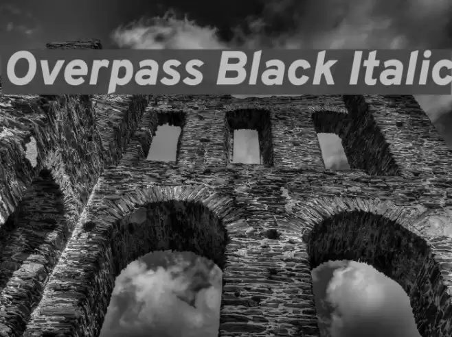 Overpass Black Italic  examples
