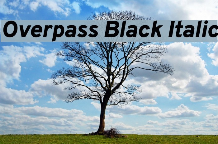 Overpass Black Italic Font examples