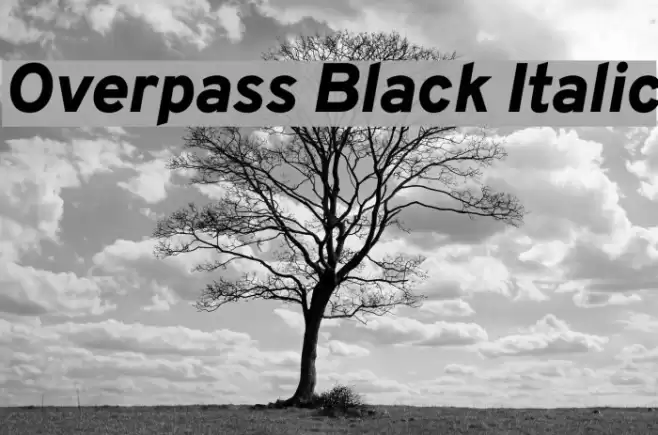 Overpass Black Italic  examples