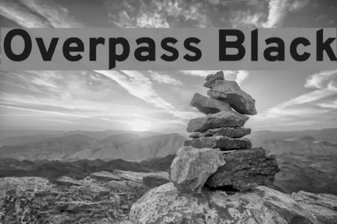 Overpass Black Font examples