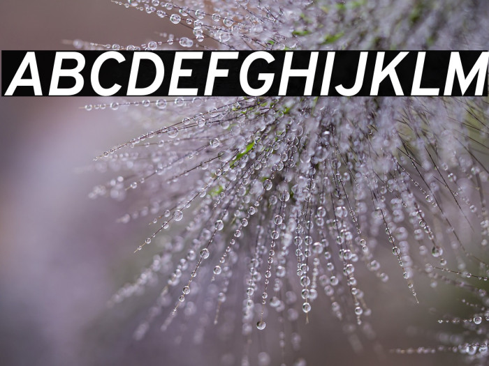 Overpass Bold Italic Example 1