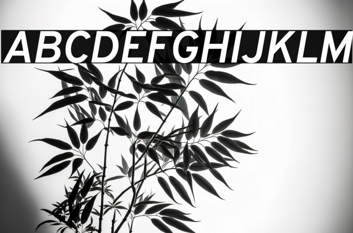 Overpass Bold Italic Example 3