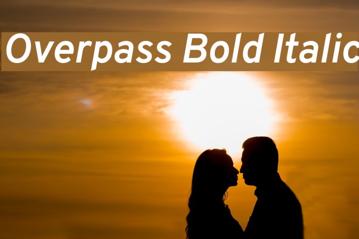 Overpass Bold Italic Example 1