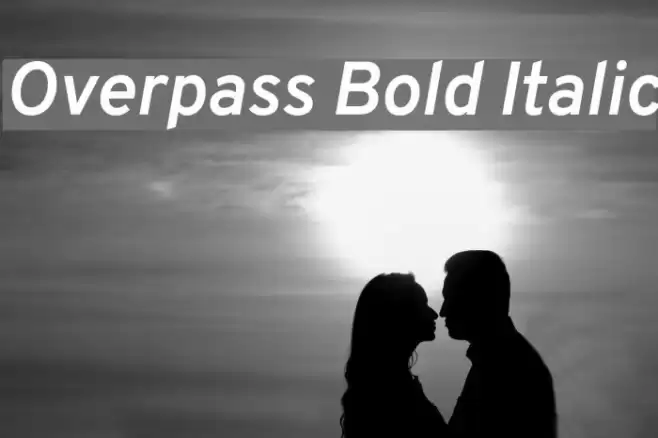 Overpass Bold Italic Font examples
