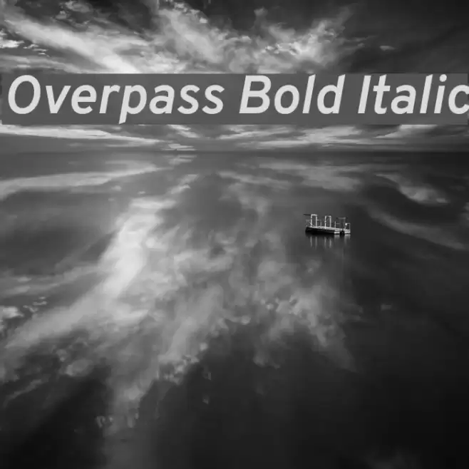 Overpass Bold Italic Font examples