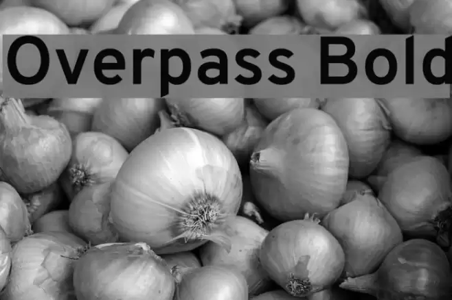Overpass Bold Font examples