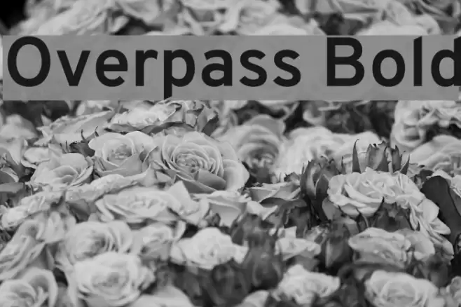 Overpass Bold Font examples