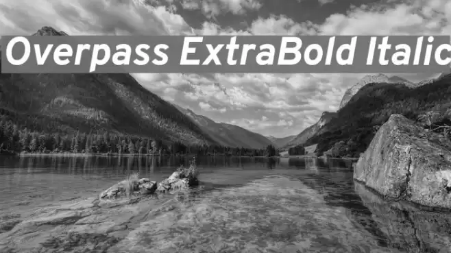 Overpass ExtraBold Italic Font examples