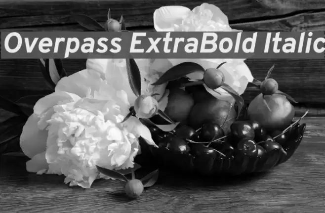 Overpass ExtraBold Italic Font examples