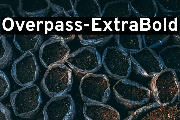 Overpass-ExtraBold Example 2