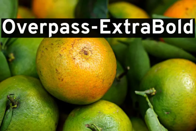 Overpass-ExtraBold Example 3