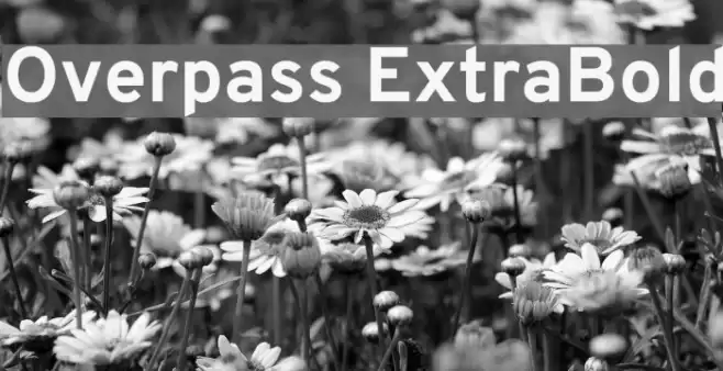 Overpass ExtraBold Font examples