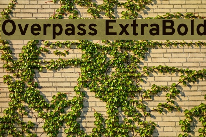 Overpass ExtraBold Font examples