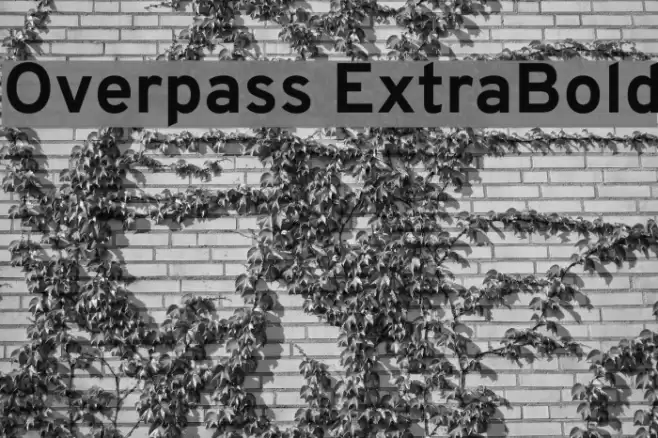 Overpass ExtraBold Font examples
