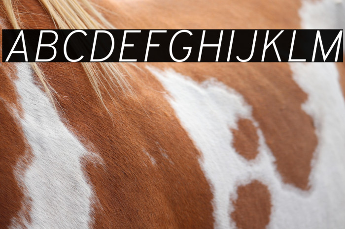 Overpass ExtraLight Italic Example 1