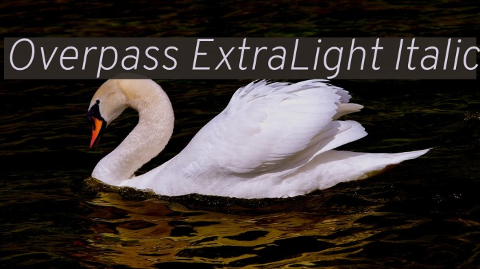 Overpass ExtraLight Italic Font examples