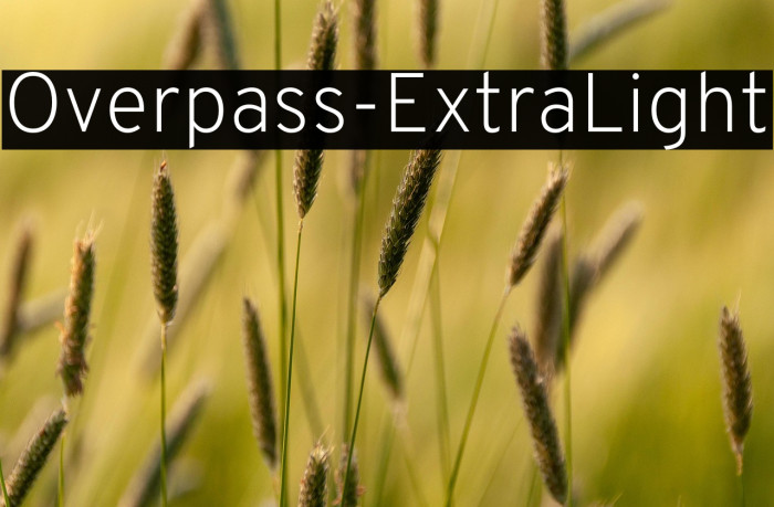 Overpass-ExtraLight Example 2