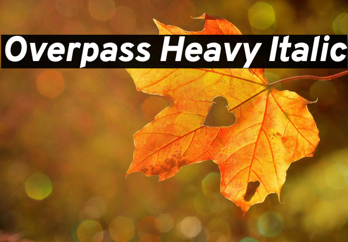 Overpass Heavy Italic Example 2