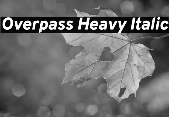 Overpass Heavy Italic Font examples