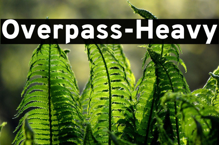 Overpass-Heavy Example 1