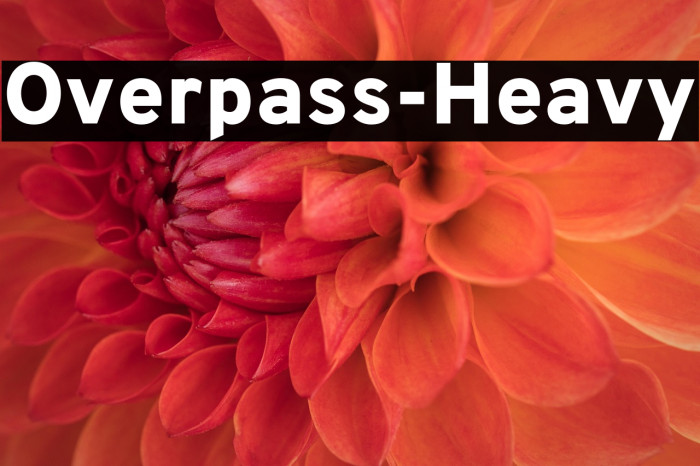 Overpass-Heavy Example 2