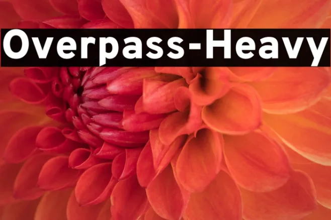 Overpass-Heavy Example 2
