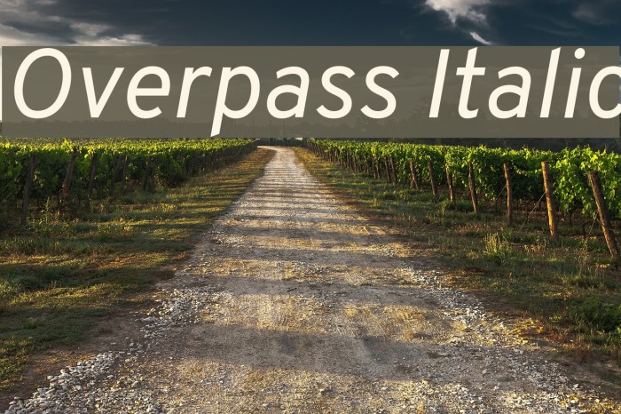 Overpass Italic Font examples