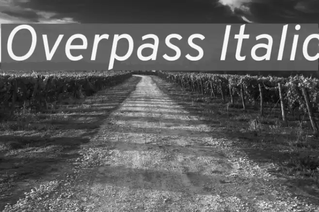 Overpass Italic Font examples