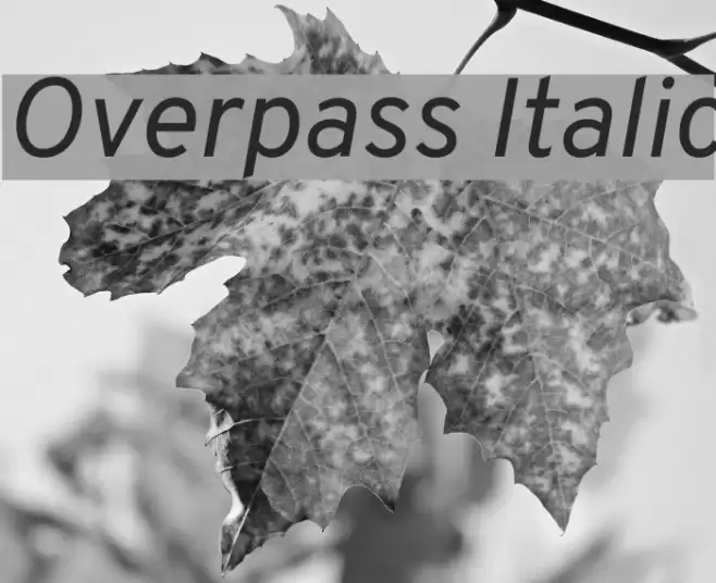 Overpass Italic Font examples