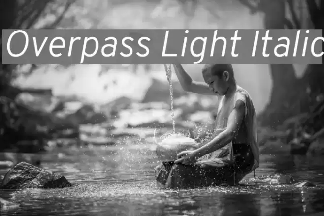 Overpass Light Italic Font examples