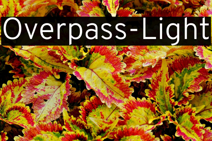 Overpass-Light Example 1