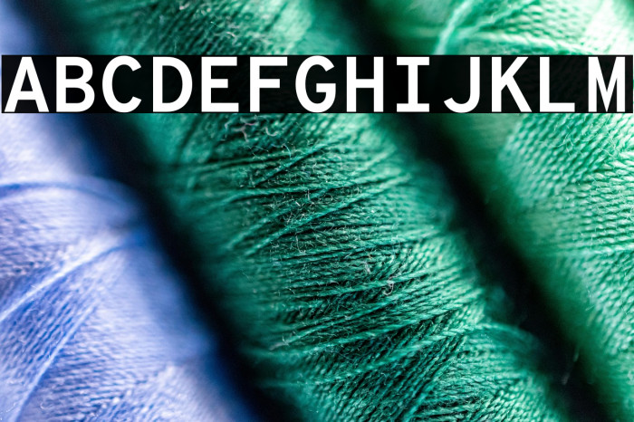 Overpass Mono Bold Example 2