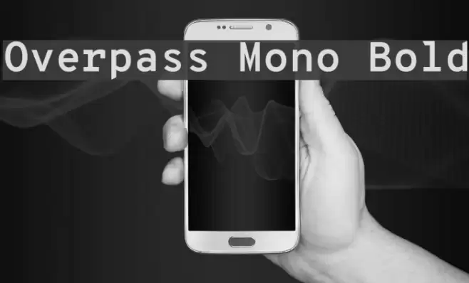 Overpass Mono Bold Font examples