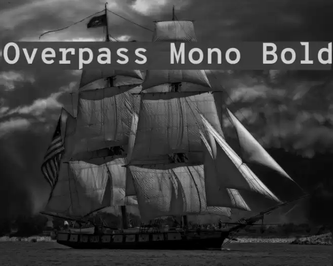 Overpass Mono Bold Font examples