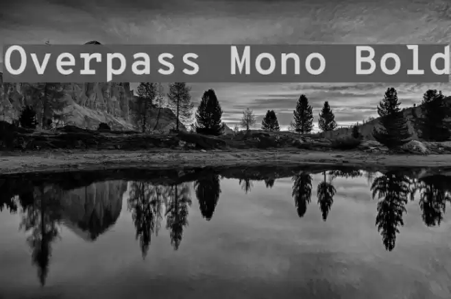 Overpass Mono Bold Font examples