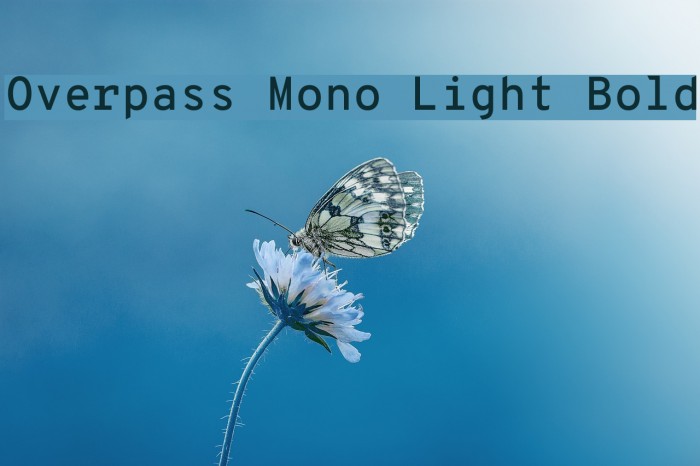 Overpass Mono Light Bold Font examples
