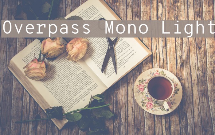 Overpass Mono Light Font examples