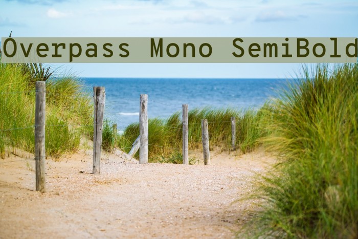 Overpass Mono SemiBold Font examples