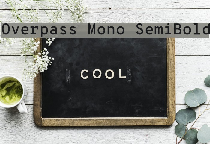 Overpass Mono SemiBold Font examples