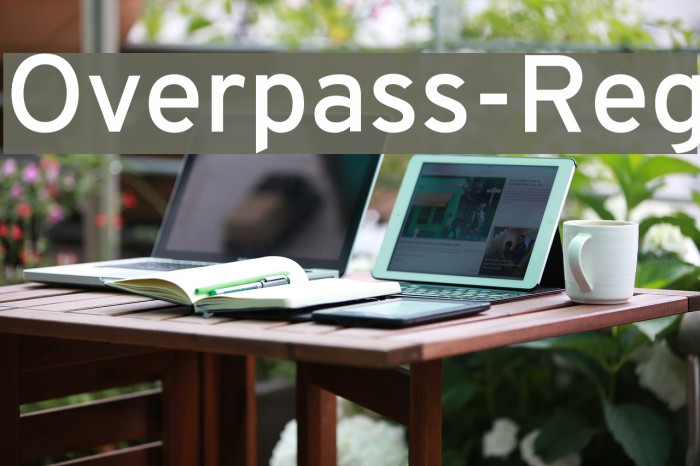 Overpass-Reg Font examples