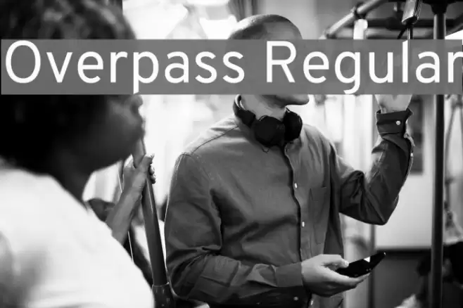 Overpass Regular Font examples