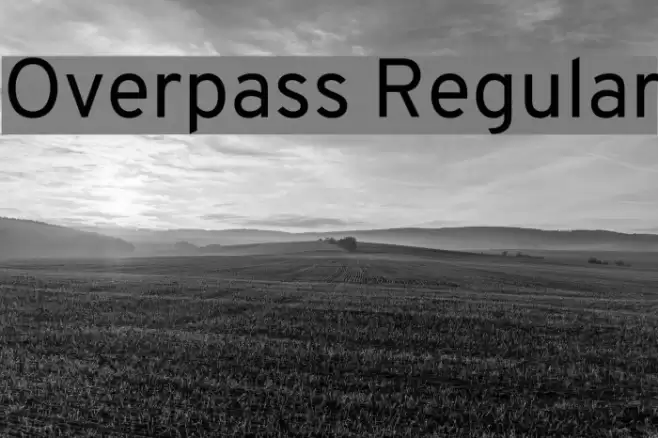 Overpass Regular Font examples
