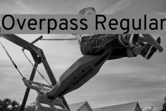 Overpass Regular Font examples