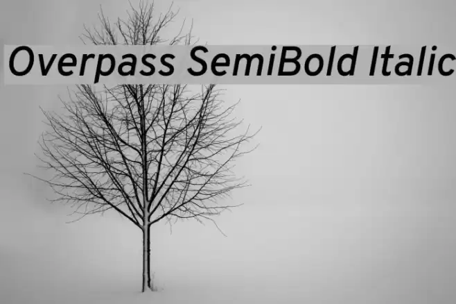 Overpass SemiBold Italic Font examples