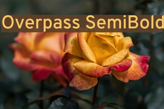 Overpass SemiBold Font examples