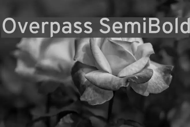 Overpass SemiBold Font examples